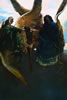 Jackson Hensley Gallery: Image